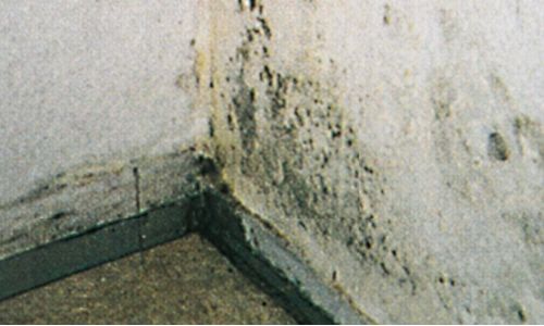 Mould due to condensation
